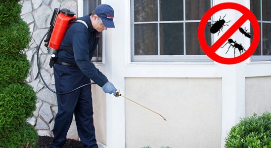Vize Fare İlaçlama böcek ilaçlama ve haşere kontrolü — ilaclama-tr.com